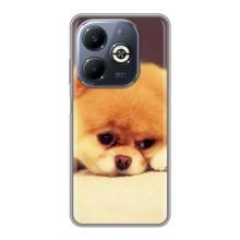 Чохол (ТПУ) Милі песики для Infinix Smart 8 Plus – Померанский шпіц