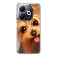 Чохол (ТПУ) Милі песики для Infinix Smart 8 Plus – Йоркширський тер'єр
