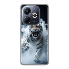 Чохол з картинкою 'Хижаки' для Infinix Smart 8 Plus – Тигр