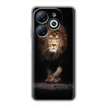 Чехол с картинкой на Infinix Smart 8 – Красивый Лев