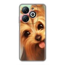 Чехол (ТПУ) Милые собачки для Infinix Smart 8 – Йоршенский терьер