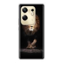 Чохол з картинкою на Infinix Zero 30 – Гарний Лев