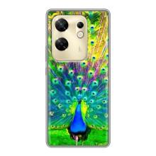 Чехол с птицами на Infinix Zero 30 (VPrint)