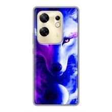 Чехол с Волком на Infinix Zero 30 – Арт-Волк