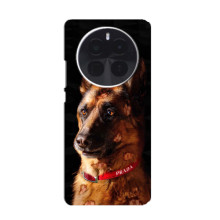 Чохли з картинкою животних Infinix Zero 40 5G (Овчарка)
