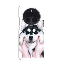 Бампер для Infinix Zero 40 5G с картинкой "Песики" (Собака Хаски)