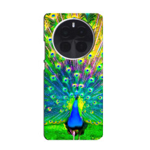 Чохол з пташками на Infinix Zero 40 5G (VPrint) – Яскравий Павлин