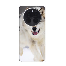 Чехол с Волком на Infinix Zero 40 5G (Волк на снегу)