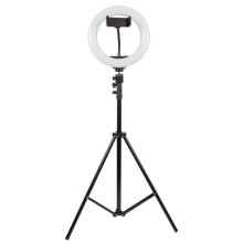 Кольцевая светодиодная LED лампа Arc Ring 8" + tripod 2.1m – Черный