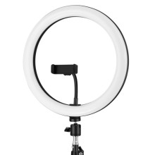 Кільцева світлодіодна LED лампа Arc Ring 10" + tripod 2.1m – Чорний