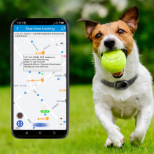 Трекер GPS для тварин V41 Pet Tracker SIM (4GLTE+3GWCDMA+2GGSM) 1300mAh – undefined