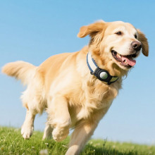 Трекер Hoco E91C Tiger для ошейника 230 mAh – Белый