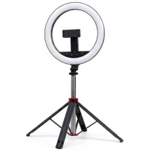 Кольцевая светодиодная LED лампа Neepho L15" + stand – Черный