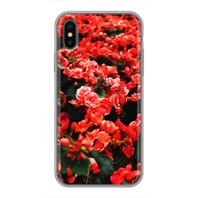 Чехлы с Цветами для iPhone X (VPrint) (Цветы красные)