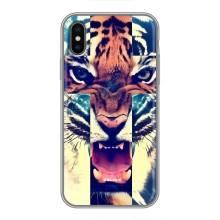 Чохли з зображенням різних тварин на iPhone X (Яскравий Тигр)