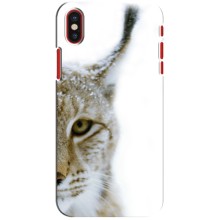 Чохли з картинкою животних iPhone X (Рись)