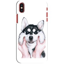 Чохол з Хаскі iPhone X - (AlphaPrint) (Хаскі улибака)