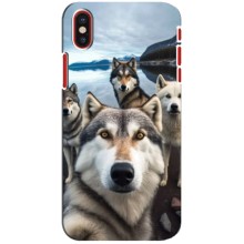 Чохол з Хаскі iPhone X - (AlphaPrint) (Селфі Хаскі)