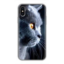 Чохли з Котиками для iPhone X (VPrint) (Сірий Кіт)