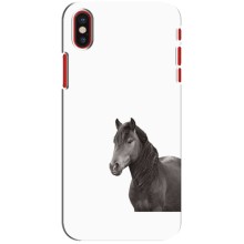 Чехлы с Лошадью дляiPhone X (VPrint) (Чорний кінь)