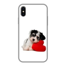 Чохли з собаками для iPhone X (VPrint) (Песик)