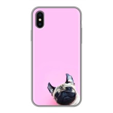 Чохли з собаками для iPhone X (VPrint) (Смішна собака)