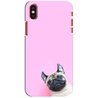 Бампер для iPhone X с картинкой "Песики" (Собака на розовом)