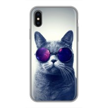 Чохол з принтом для iPhone X (AlphaPrint) Модні коти (Стильний кіт)
