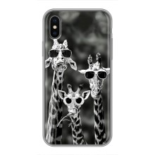 Силіконовий чохол з КАРТИНКАМИ літо для iPhone X (AlphaPrint) (Жирафи в окулярах)
