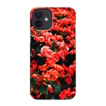 Чехлы с Цветами для iPhone 12 mini (VPrint) (Цветы красные)