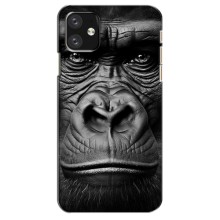 Чохли з Горилою на Айфон 12 Міні – Чорна мавпа
