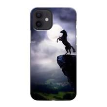 Чехлы с изображением разных животных для iPhone 12 mini (Лошадь)