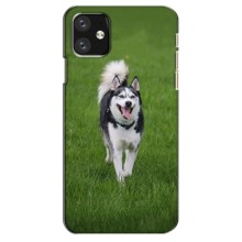 Чехол с Хаски для iPhone 12 mini - (AlphaPrint) (Радостный Хаски)