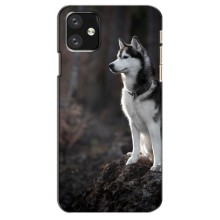 Чехол с Хаски для iPhone 12 mini - (AlphaPrint) (Верный пес)