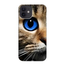 Чехлы с Котиками для iPhone 12 mini (VPrint) (Глаз кота)