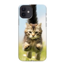 Чехлы с Котиками для iPhone 12 mini (VPrint) (Прыжок кота)