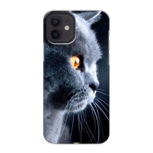 Чехлы с Котиками для iPhone 12 mini (VPrint) (Серый Кот)