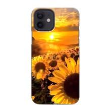 Чохол з Квітами для iPhone 12 mini (поле соняшників)