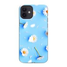 Чохол з Квітами для iPhone 12 mini (ромашки на блакитному)