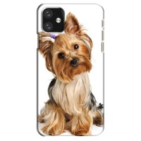 Чехол (ТПУ) Милые собачки для iPhone 12 mini (Собака Терьер)
