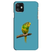 Силіконовий бампер з птичкою на iPhone 12 mini – Попугайчик