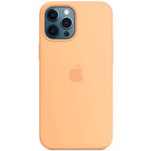 Чехол Silicone case (AAA) full with Magsafe для Apple iPhone 12 Pro Max (6.7") – Оранжевый