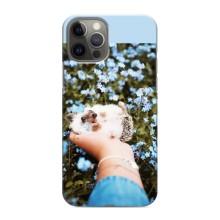 Чехлы с изображением разных животных для iPhone 12 Pro Max (Ежик на руках)