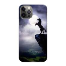 Чехлы с изображением разных животных для iPhone 12 Pro Max (Лошадь)
