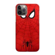 Чехол с человеком пауком для iPhone 12 Pro Max - (AlphaPrint)