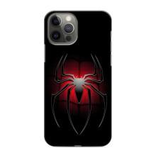 Чехол с человеком пауком для iPhone 12 Pro Max - (AlphaPrint)