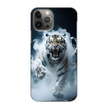 Чехол с картинкой «Хищники» для iPhone 12 Pro Max (Тигр)