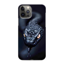Чехол с картинкой «Хищники» для iPhone 12 Pro Max (Змея)