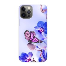 Чехлы с Цветами для iPhone 12 Pro (VPrint) (Бабочка на цветочке)