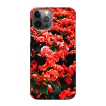 Чехлы с Цветами для iPhone 12 Pro (VPrint) (Цветы красные)